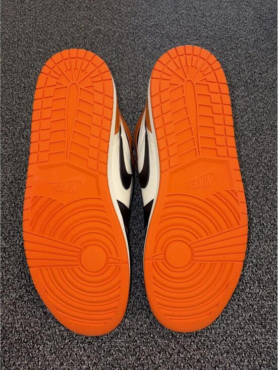 Size 18 - Air Jordan 1 Shattered Backboard (2025)